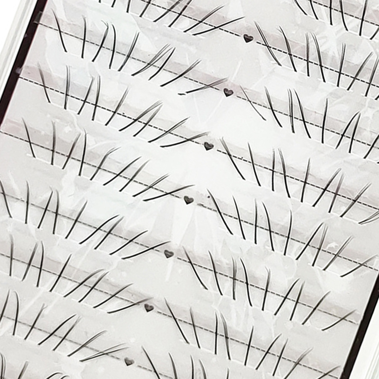 Natürliche Cat-Paw-Wimpern für – Eyelash Extension Cat Eye Bewertung und Preis