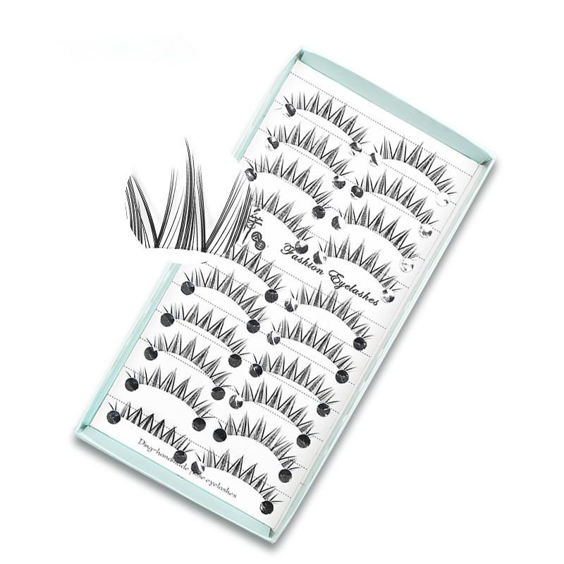 10 Paar Natürliche Lange Wispi – Eyelash Extension Cat Eye Bewertung und Preis